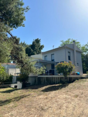 Pejić Guest House
